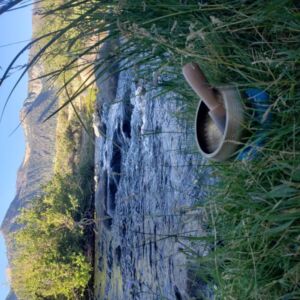 Singing Bowl By Water 1 - Association of Nature & Forest Therapy