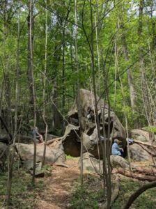 Sit Spot - Association of Nature & Forest Therapy