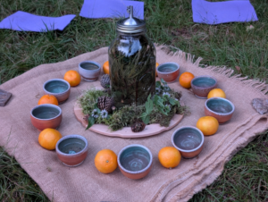 snip of tea II - Association of Nature & Forest Therapy