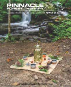 Snip Of Tea Pic - Association of Nature & Forest Therapy