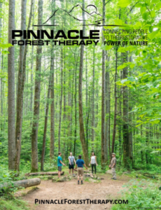 Snip Pinnacle Park - Association of Nature & Forest Therapy