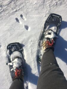 Snowshoes And Tracks - Association of Nature & Forest Therapy
