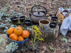 Justin Ferko - Association of Nature & Forest Therapy