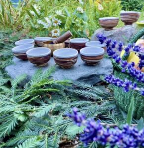 Tea Cups - Association of Nature & Forest Therapy