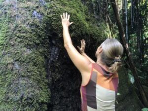 thumbnail IMG 0391 Manu tree caress WS - Association of Nature & Forest Therapy
