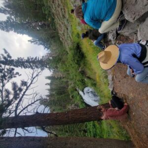 valentine Falls looking 1 - Association of Nature & Forest Therapy