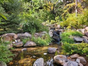 Waterfall At Arboretum - Association of Nature & Forest Therapy