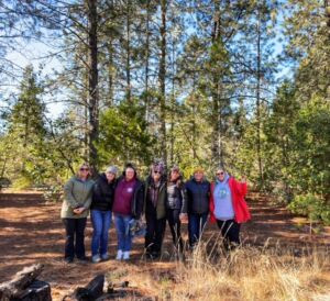 Dawn Cogliser - Association of Nature & Forest Therapy