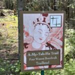 Ancient Forests, Enduring Partnerships: Tara Lila’s Journey to Becoming an ANFT Certified Forest Therapy Trail