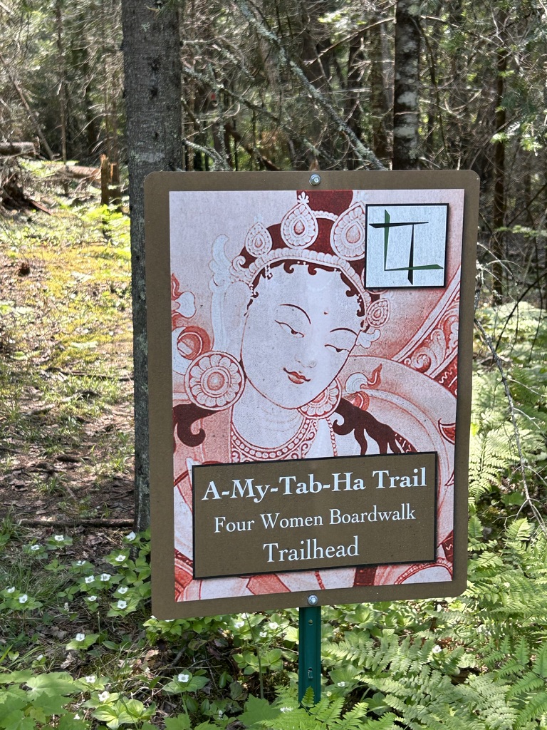 Ancient Forests, Enduring Partnerships: Tara Lila’s Journey to Becoming an ANFT Certified Forest Therapy Trail - Association of Nature & Forest Therapy