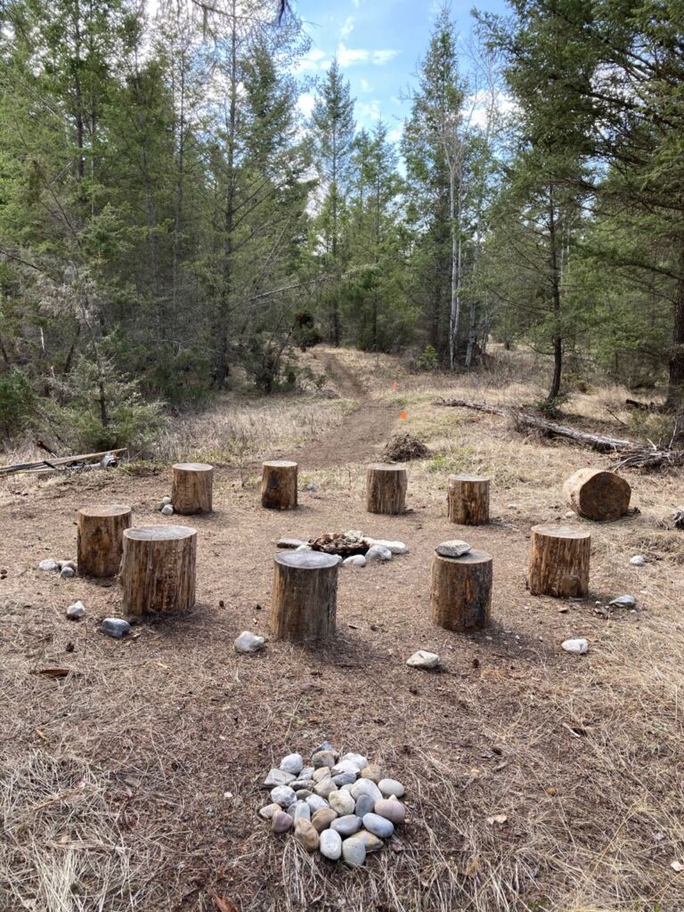 Radius Retreat Forest Therapy Trail - Association of Nature & Forest Therapy