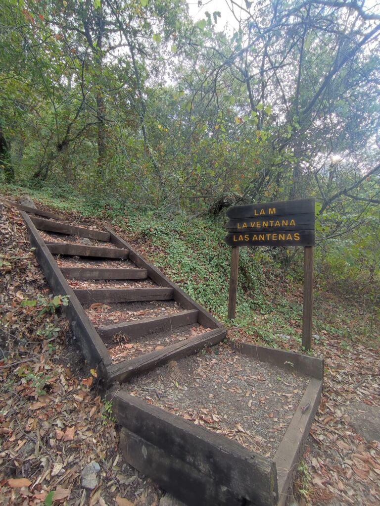 Parque Ecológico Chipinque - Association of Nature & Forest Therapy
