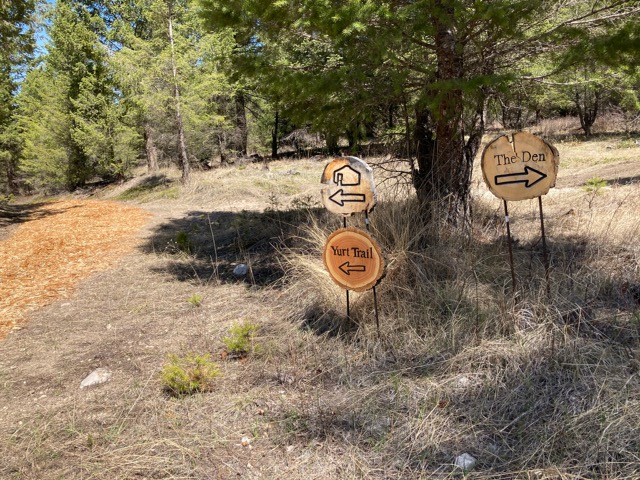 Radius Retreat Forest Therapy Trail - Association of Nature & Forest Therapy
