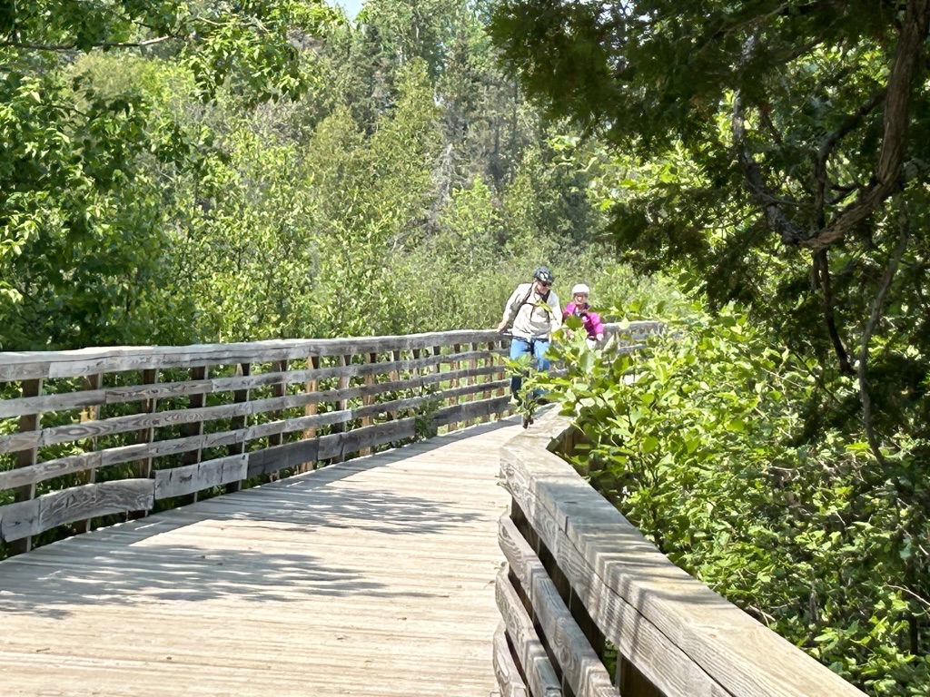 Ancient Forests, Enduring Partnerships: Tara Lila’s Journey to Becoming an ANFT Certified Forest Therapy Trail - Association of Nature & Forest Therapy