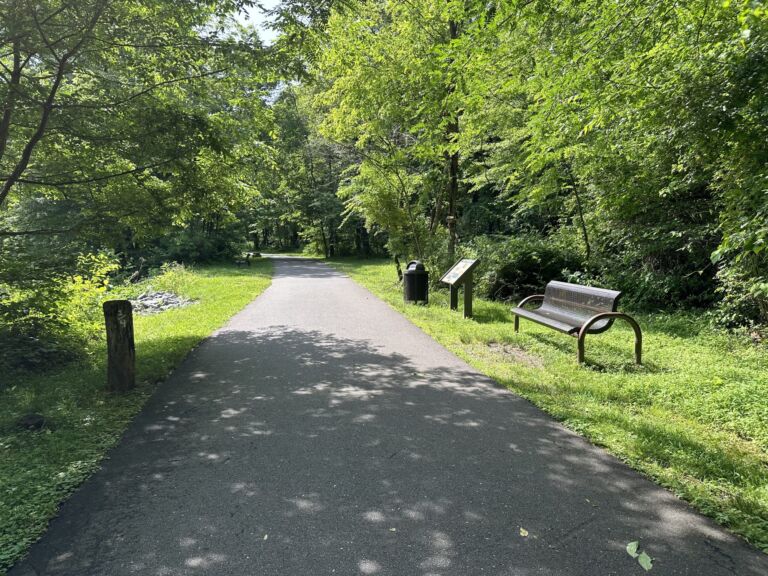 Jackson County, Cullowhee, NC - Association of Nature & Forest Therapy
