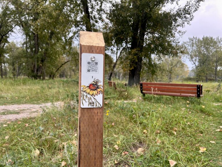 City of Calgary, Inglewood Bird Sanctuary - Association of Nature & Forest Therapy