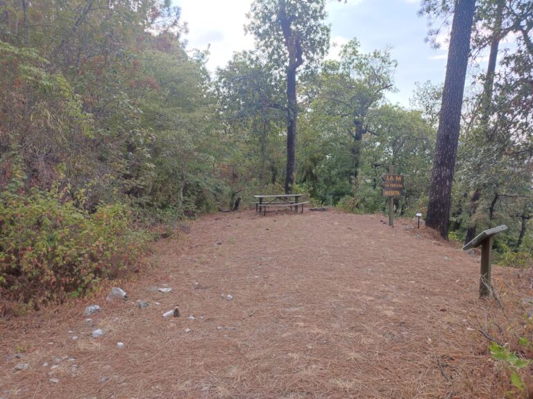 Parque Ecológico Chipinque - Association of Nature & Forest Therapy