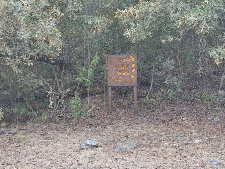 Parque Ecológico Chipinque - Association of Nature & Forest Therapy