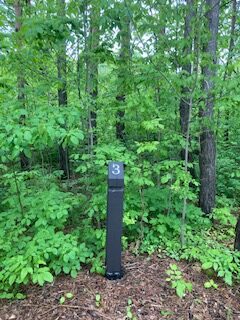 Scandinave Forest Bathing Trail - Association of Nature & Forest Therapy