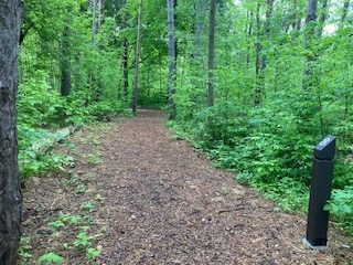 Scandinave Forest Bathing Trail - Association of Nature & Forest Therapy