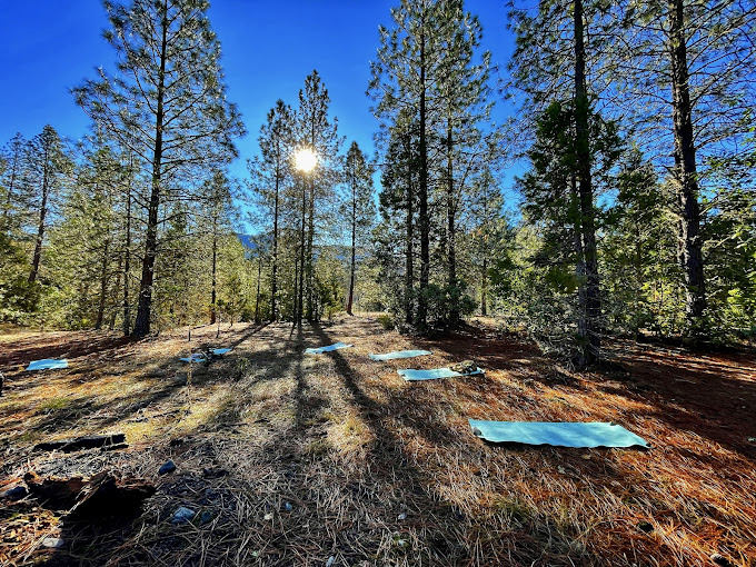 EcoRECOVERY Trail - Association of Nature & Forest Therapy