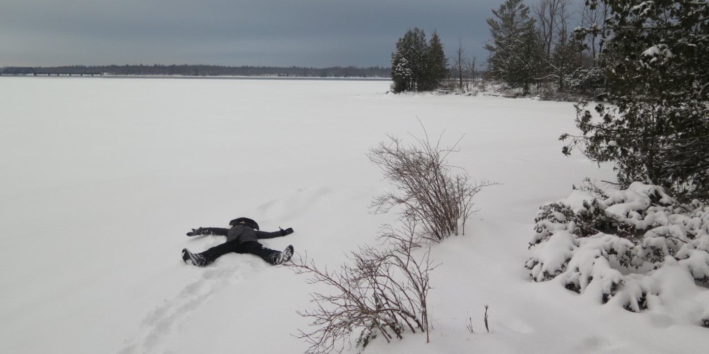 Forest Therapy Guiding in Winter and Cold Weather Hero Banner image - Association of Nature & Forest Therapy