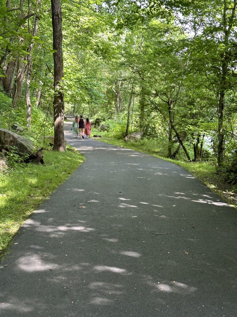 Jackson County, Cullowhee, NC - Association of Nature & Forest Therapy