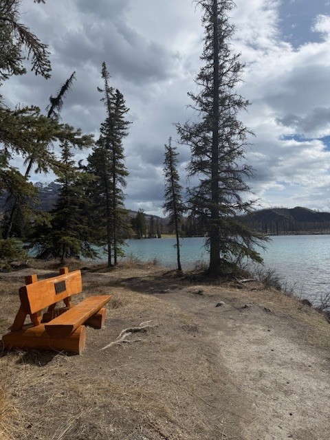 Fairmont Jasper Park Lodge - Association of Nature & Forest Therapy