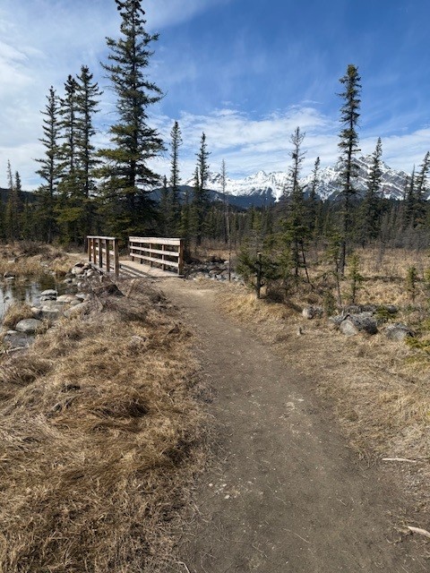Fairmont Jasper Park Lodge - Association of Nature & Forest Therapy