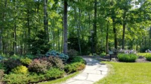 Forest Bathing Trail - Association of Nature & Forest Therapy