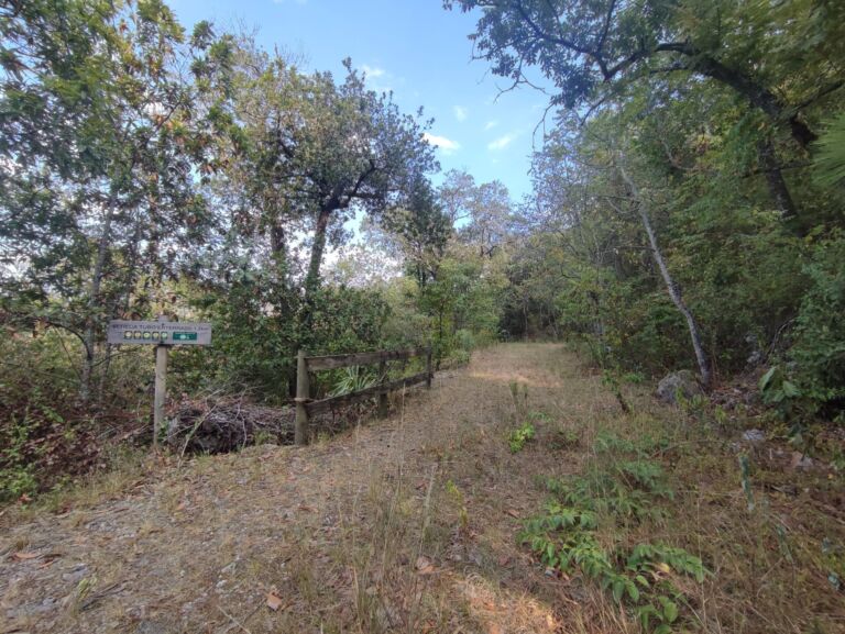 Parque Ecológico Chipinque - Association of Nature & Forest Therapy
