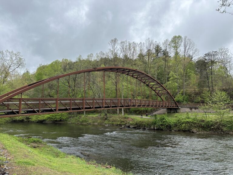 Jackson County, Cullowhee, NC - Association of Nature & Forest Therapy