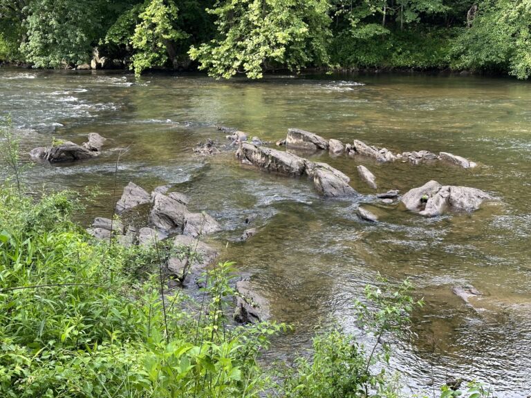 Jackson County, Cullowhee, NC - Association of Nature & Forest Therapy