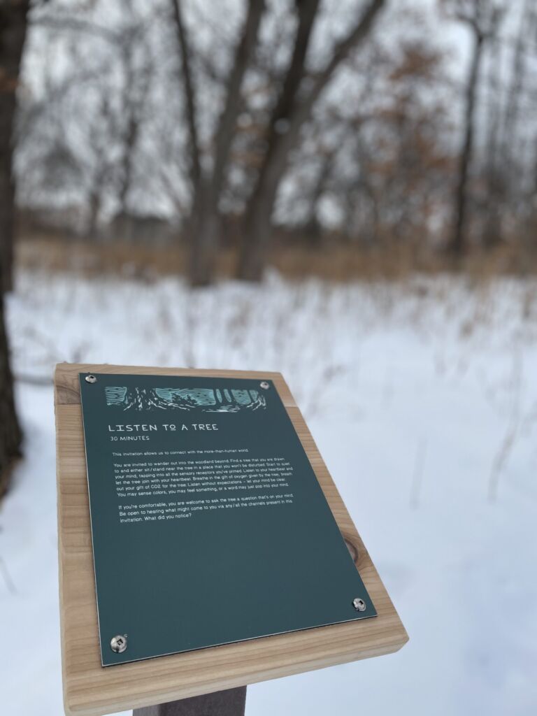 Silverwood Park Forest Therapy Trail - Association of Nature & Forest Therapy
