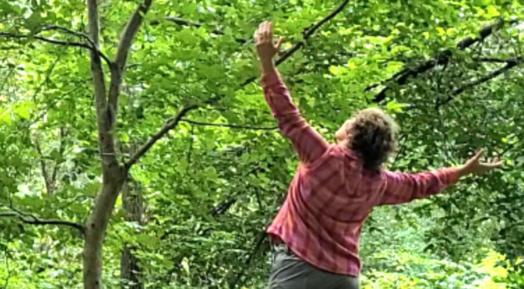 Somatic Work In Partnership with Nature 01 - Association of Nature & Forest Therapy