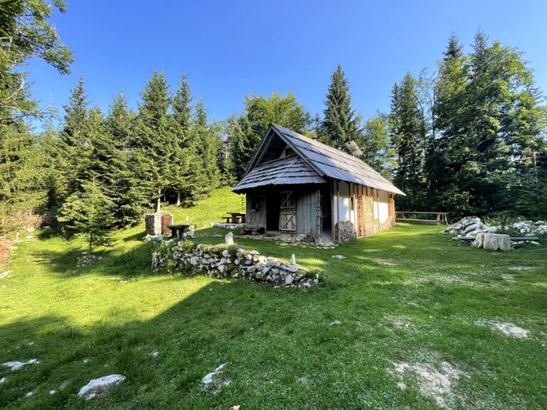Bohinj Forest Melody - Association of Nature & Forest Therapy