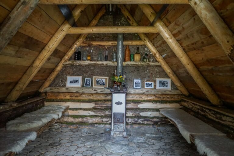 Bohinj Forest Melody - Association of Nature & Forest Therapy