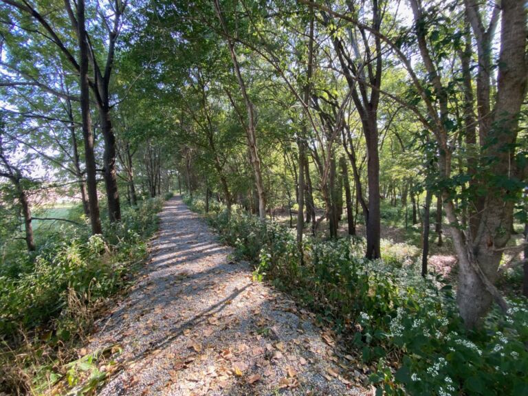 The Trails at Conner Prairie - Association of Nature & Forest Therapy