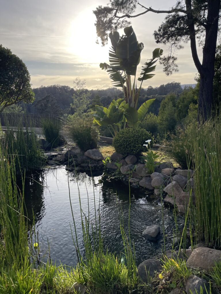 Chaminade Resort and Spa