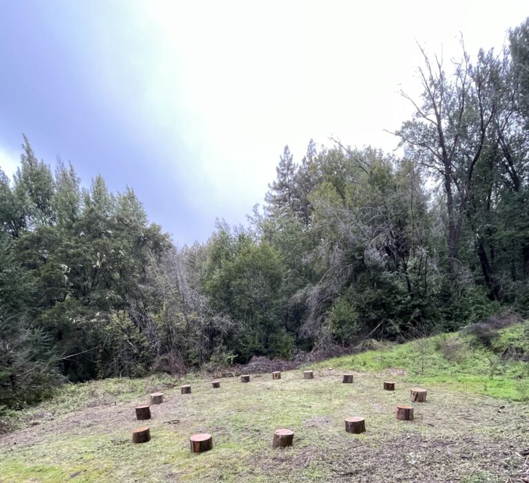 Chaminade Resort And Spa - Association of Nature & Forest Therapy