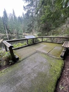 City Of Redmond -Tree Frog Loop Trail - Association of Nature & Forest Therapy