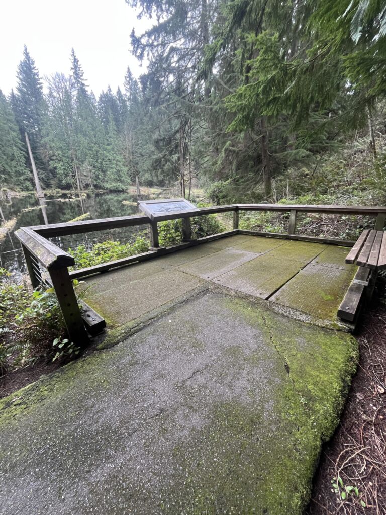 City of Redmond -Tree Frog Loop Trail