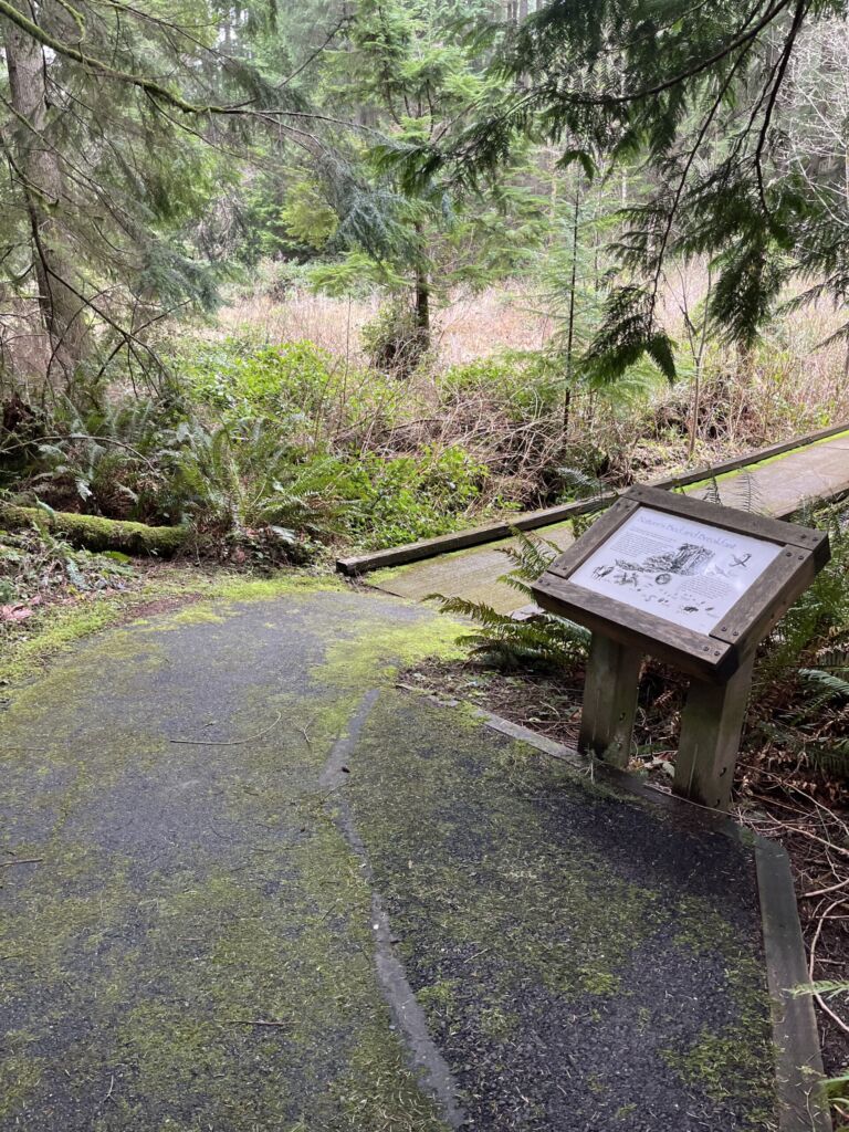 City Of Redmond -Tree Frog Loop Trail - Association of Nature & Forest Therapy