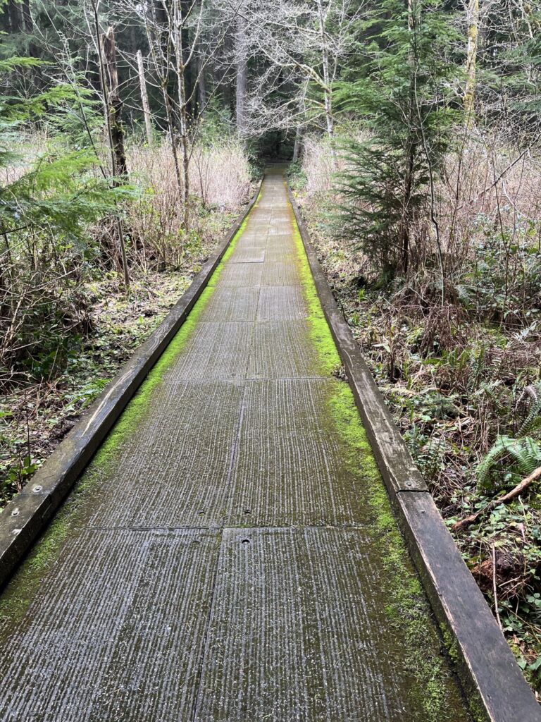 City Of Redmond -Tree Frog Loop Trail - Association of Nature & Forest Therapy