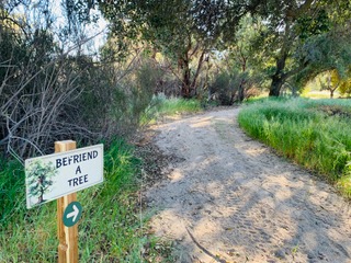 Dry Creek Trail