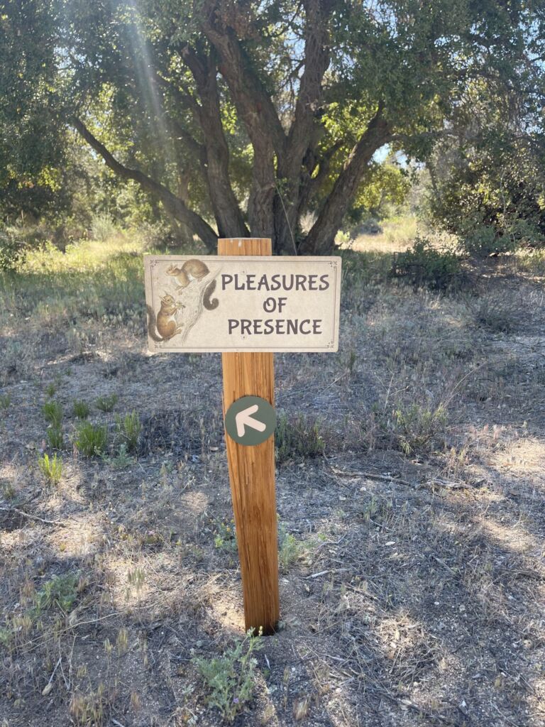Dry Creek Trail - Association of Nature & Forest Therapy