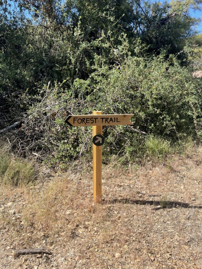 Dry Creek Trail - Association of Nature & Forest Therapy
