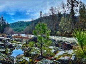 EcoRECOVERY Trail - Association of Nature & Forest Therapy