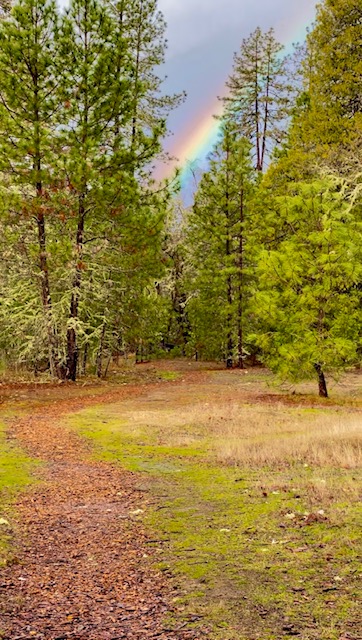 EcoRECOVERY Trail - Association of Nature & Forest Therapy