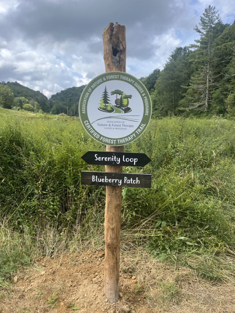 Glamping Wild